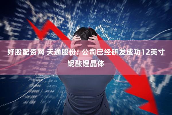 好股配资网 天通股份: 公司已经研发成功12英寸铌酸锂晶体