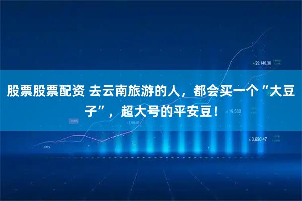 股票股票配资 去云南旅游的人，都会买一个“大豆子”，超大号的平安豆！
