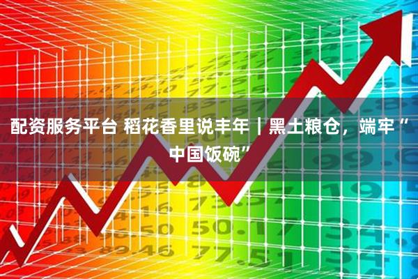 配资服务平台 稻花香里说丰年|黑土粮仓,端牢“中国饭碗”